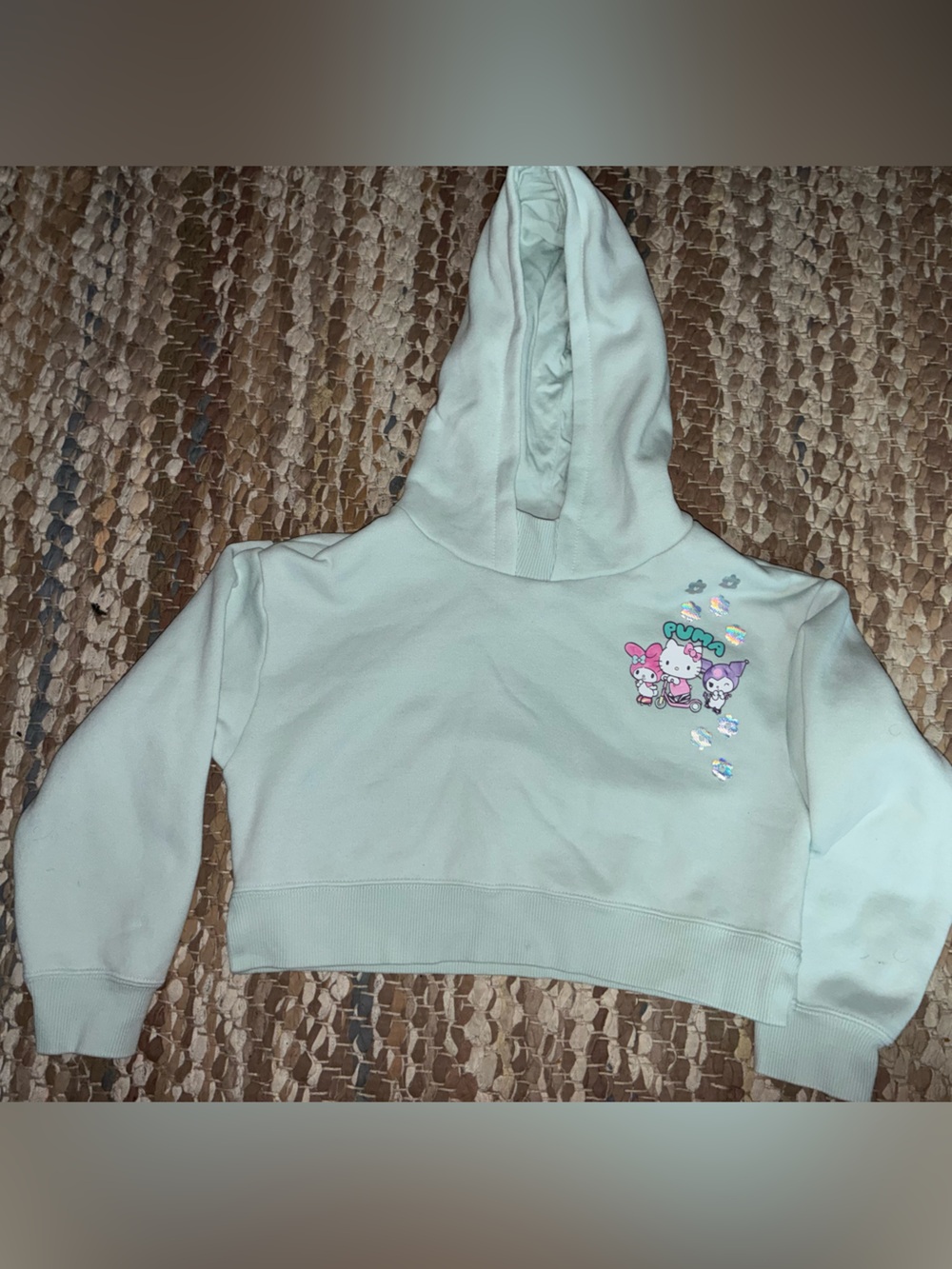 Puma Kids Mint Green Hoodie with Character Graphic